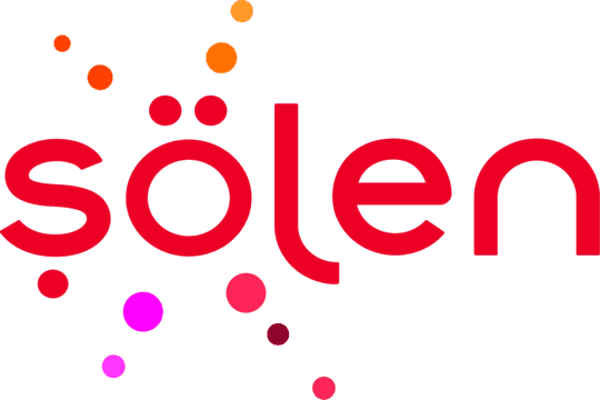 Şölen