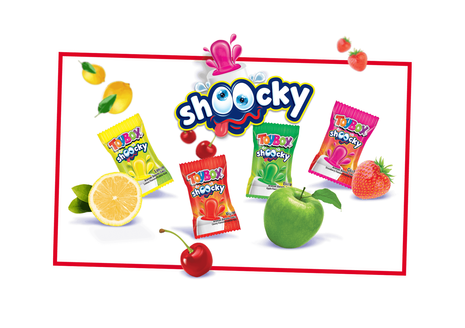 Toybox Shoocky Sakız 4 g
