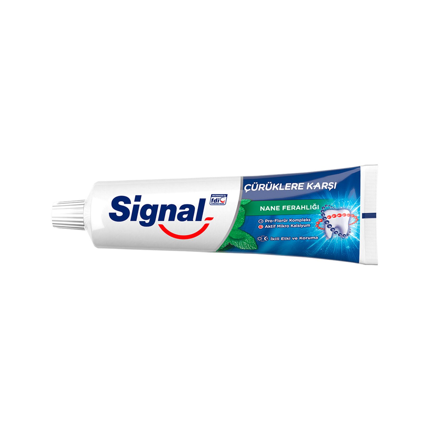 Signal Çürüklere Karşı 100 ml